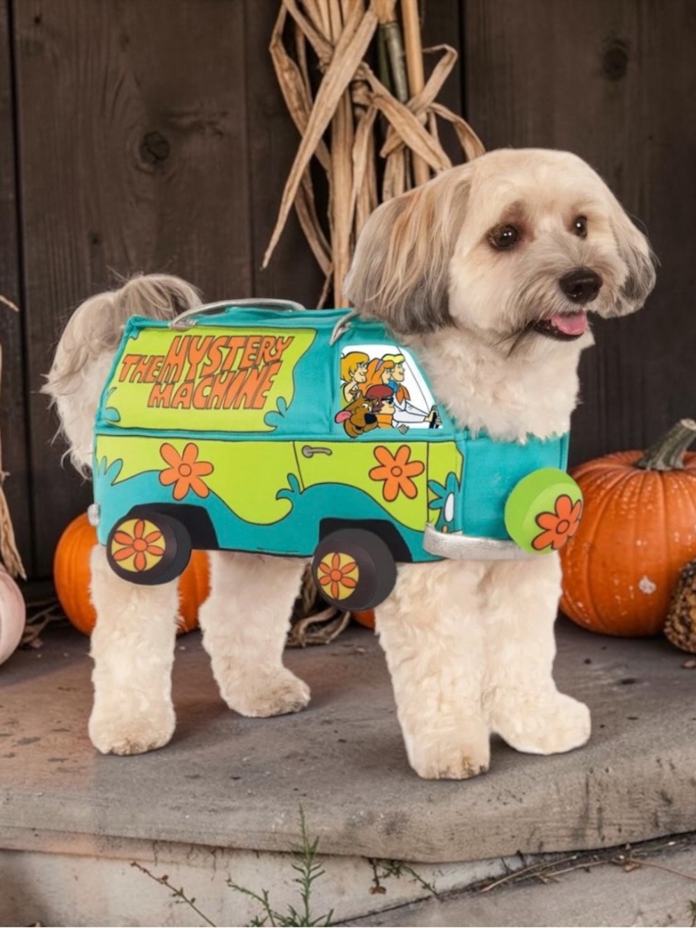 Scooby Doo Mystery Machine Halloween Pet Costume